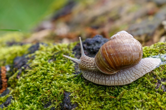 shutterstock_465003326_2.jpg