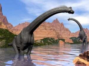 Ein Brachiosaurus steht in einem Fluss. Er ist ein Dinosaurier mit einem sehr langen Hals