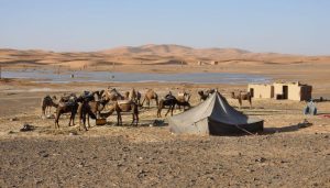 Zelte von Beduinen in Afrika.