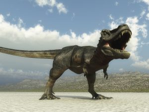 Ein Computer-Modell eines Tyrannosaurus Rex.