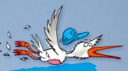 Ein Comic von einem Storch mit einer blauen Mütze.
