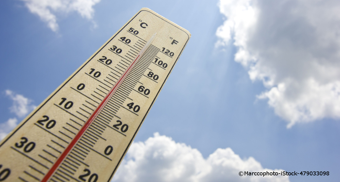 Ein Thermometer zeigt Fahrenheit und Celsius Skalen an.