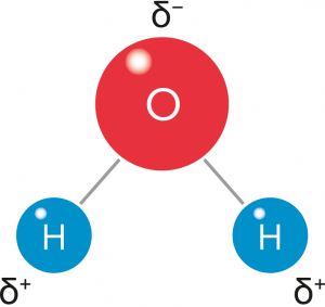 Ein Modell eines Wasserstoffmoleküls. Das Sauerstoff Molekül ist rot, die beiden Wasserstoffmoleküle blau.